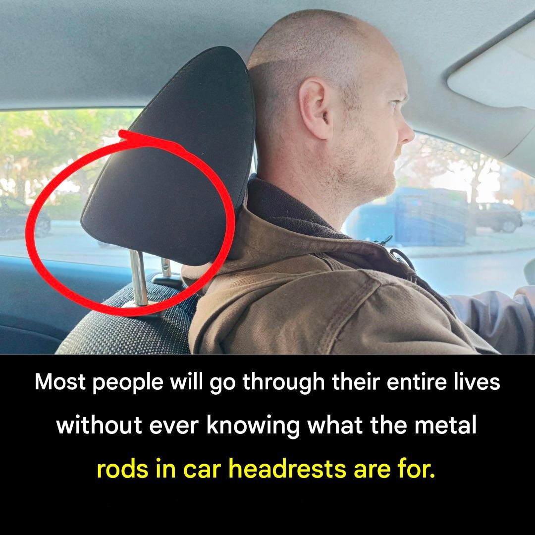 Why Car Headrests Have Metal Rods — A Safety Feature Many Drivers Never Notice