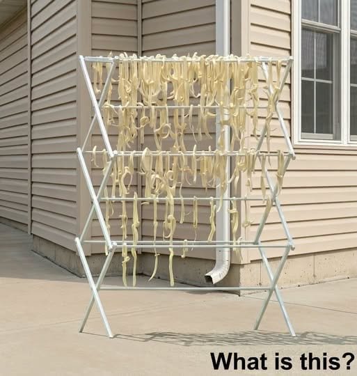 The Sun-Dried Mystery: How Homemade Pasta Turned a Backyard Into a Neighborhood Puzzle